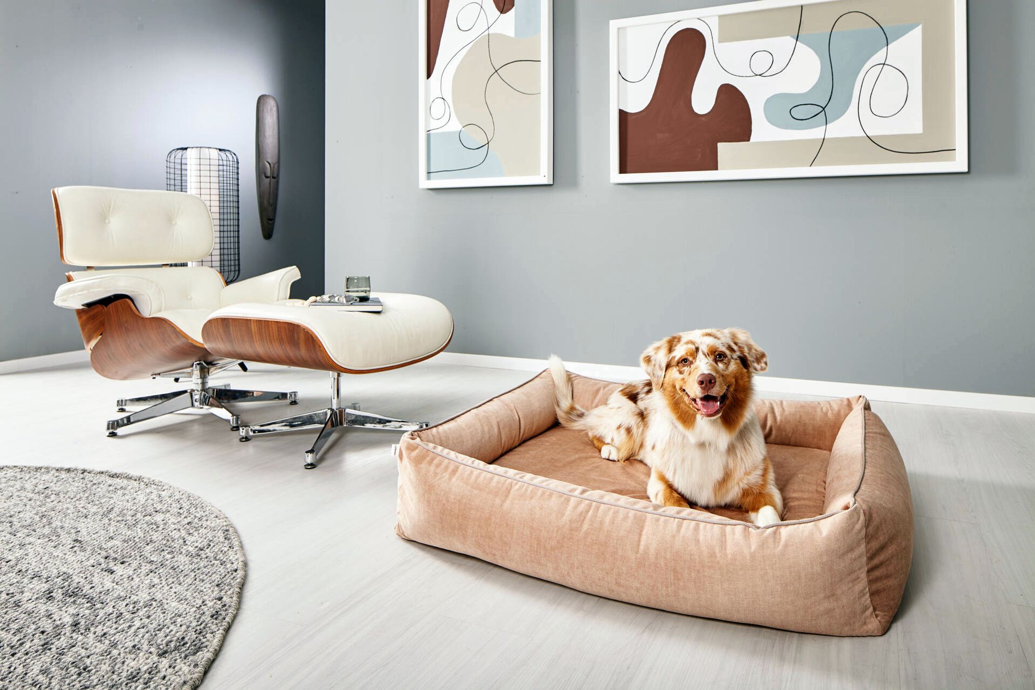 Hund auf braunem Hundebett in modernem Wohnzimmer mit Designerstuhl und abstrakter Kunst.