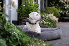 Weißer Labrador auf grauem Hundebett im Garten, umgeben von Pflanzen und Blumen.