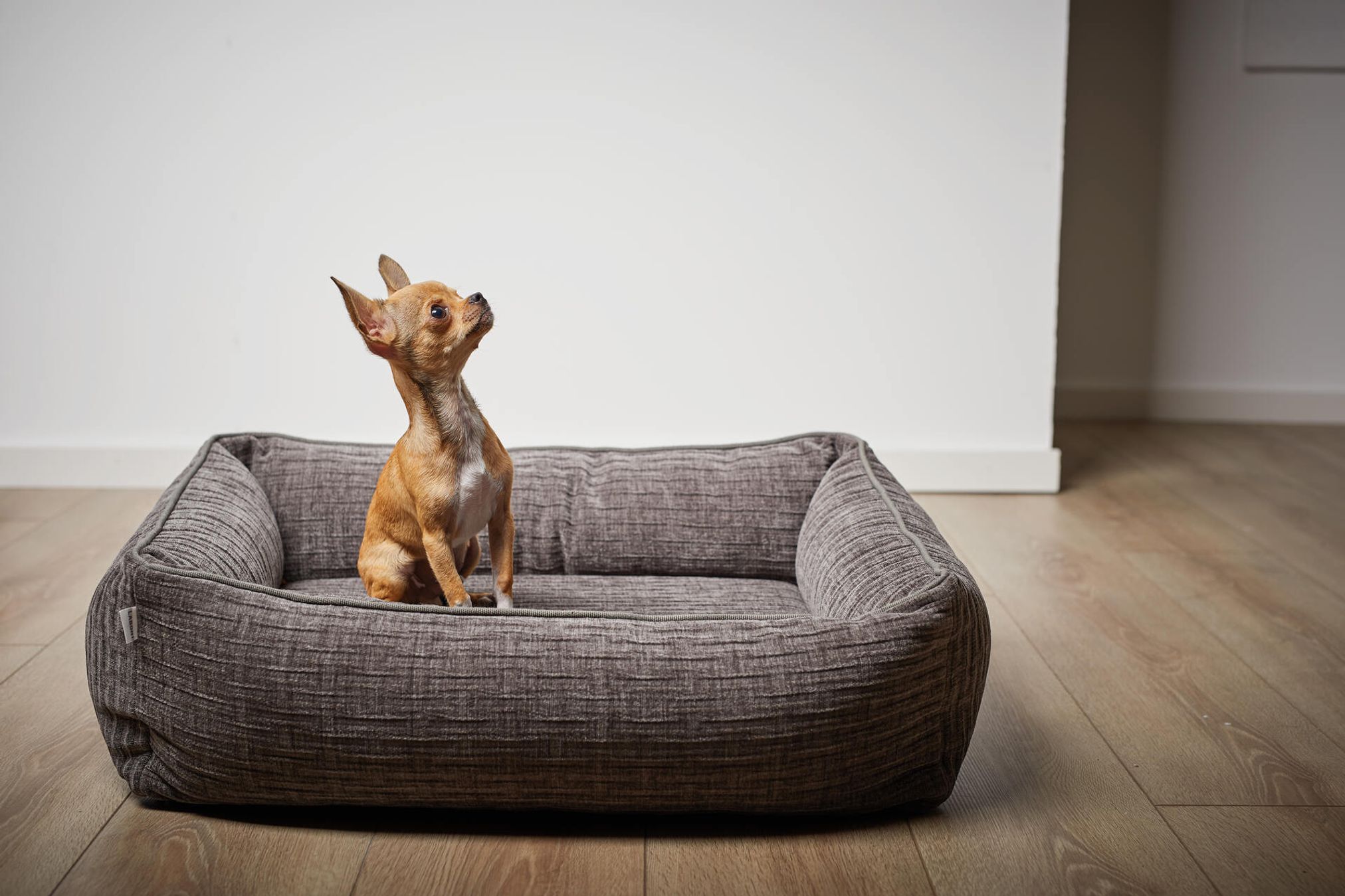 Braunes Chihuahua-Hundebett, rechteckig, grau, auf Holzboden, Heimtierbedarf.