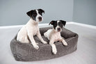 Zwei schwarz-weiße Hunde auf grauem Hundebett, modernes Design, gemütlich, Wohnzimmer.