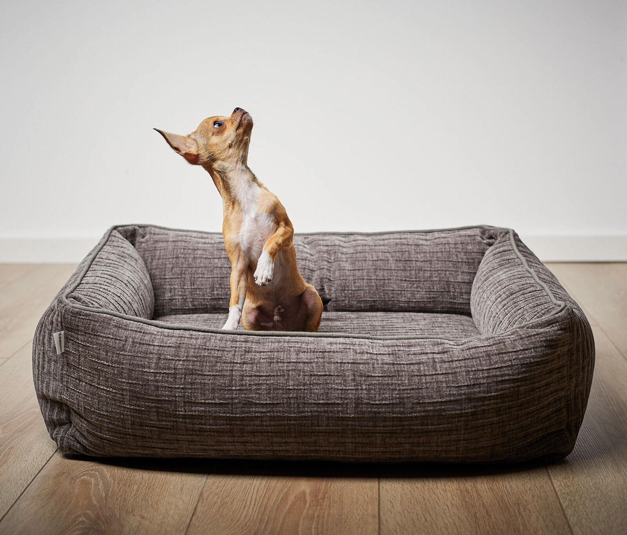 Braunes Hundebett aus Stoff mit kleinem Hund, rechteckig, gemütlich, für kleine Hunde geeignet.