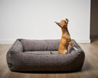 Kleiner Hund in grauem Hundebett, rechteckig, Stoff, auf Holzboden, modernes Design.
