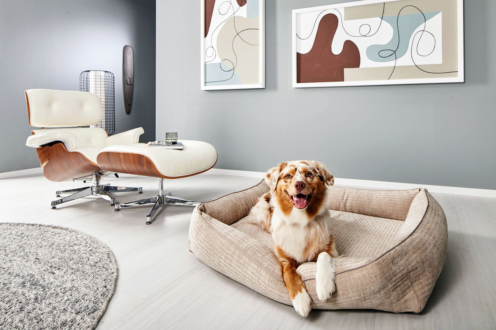 Hund in beigem Hundebett, modernes Wohnzimmer, Eames Lounge Chair, abstrakte Kunst an der Wand.