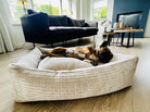 Französische Bulldogge entspannt auf beigem Hundebett im modernen Wohnzimmer mit Sofa und Kamin.