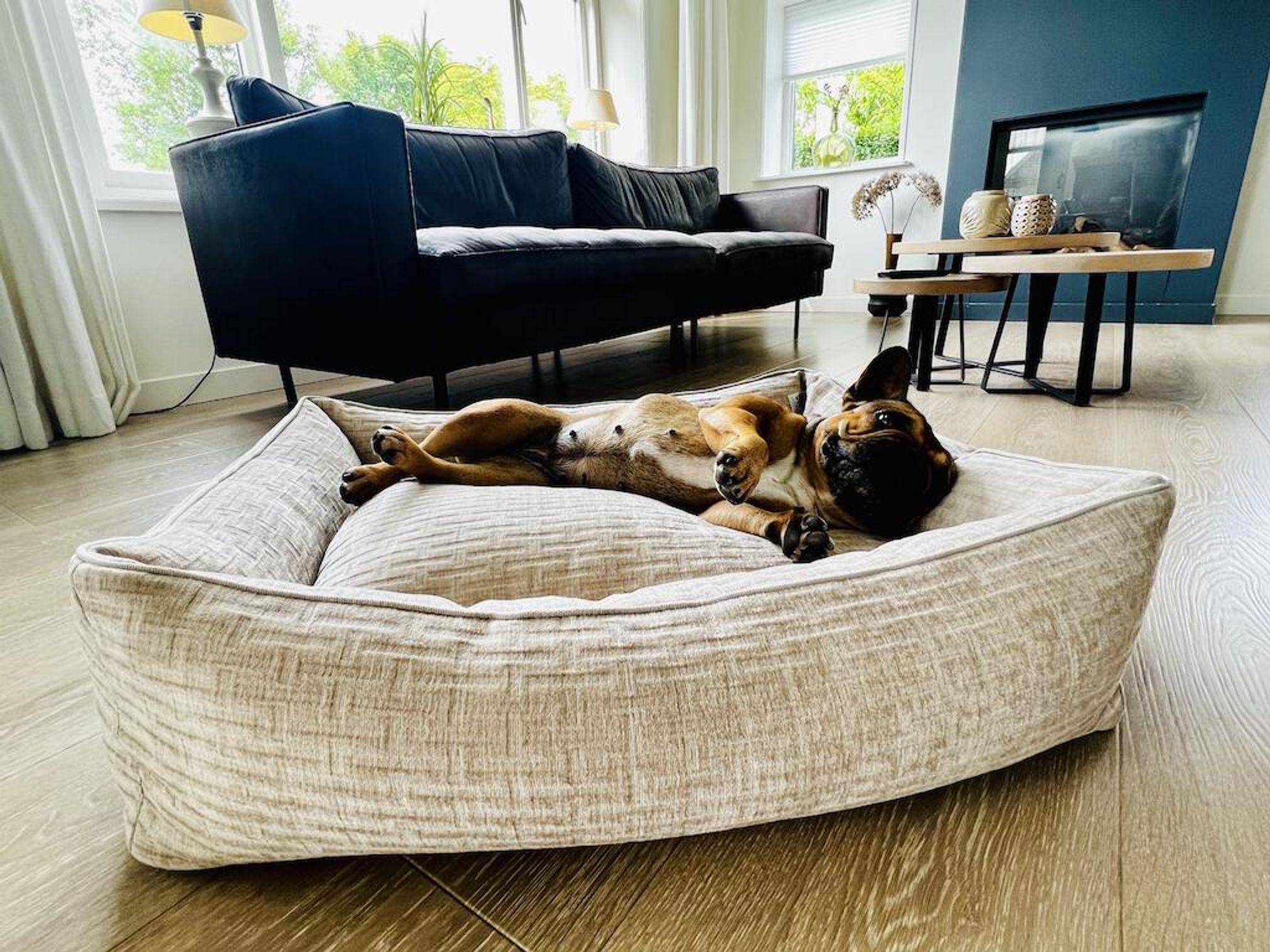Französische Bulldogge entspannt auf beigem Hundebett im modernen Wohnzimmer mit Sofa und Kamin.