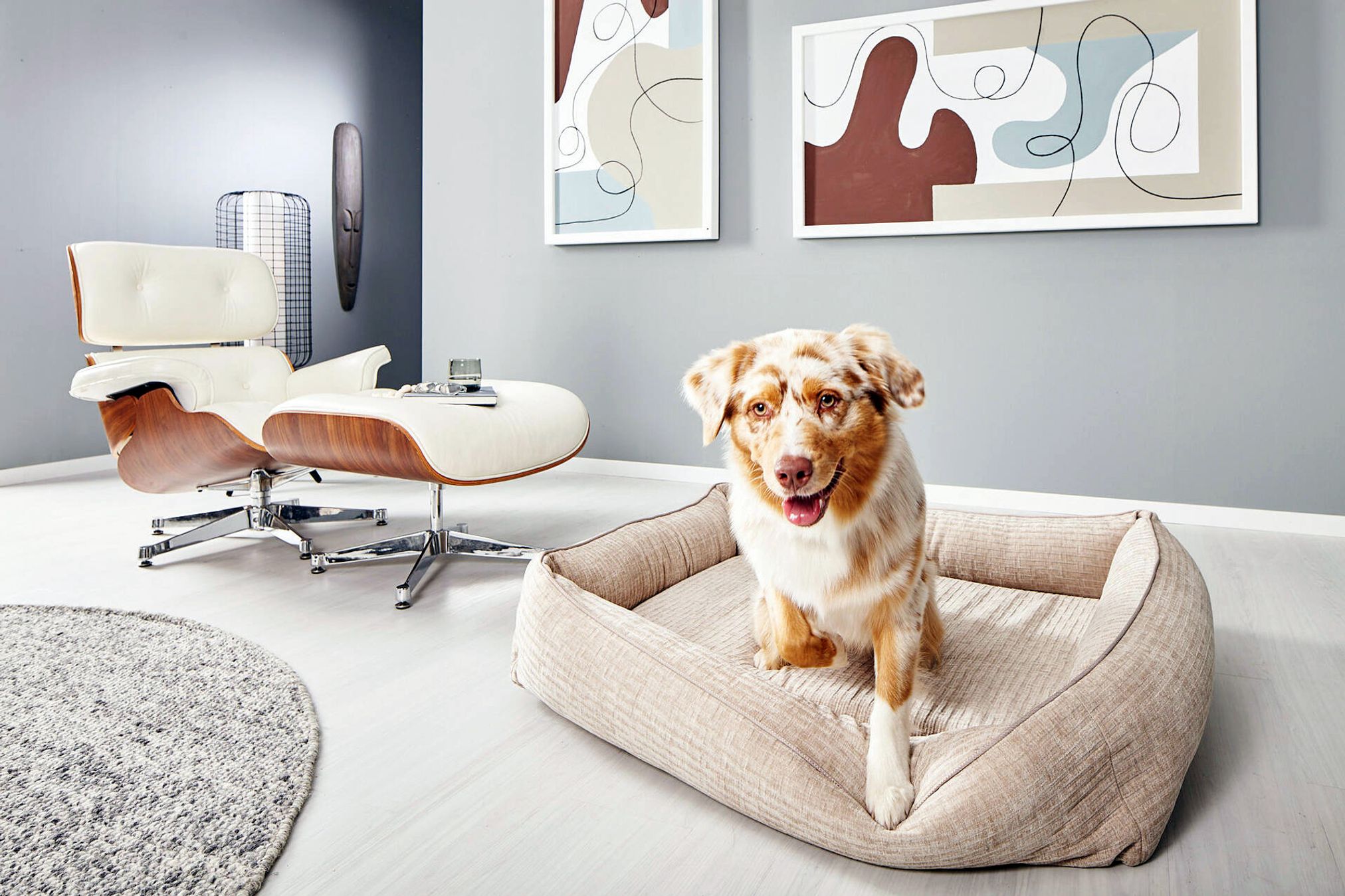 Hund auf beigem Hundebett in modernem Wohnzimmer mit Designerstuhl und abstrakter Kunst an der Wand.