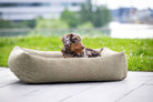 Dackel in grünem Hundebett im Freien, gemütlich, hochwertig, ideal für kleine Hunde.