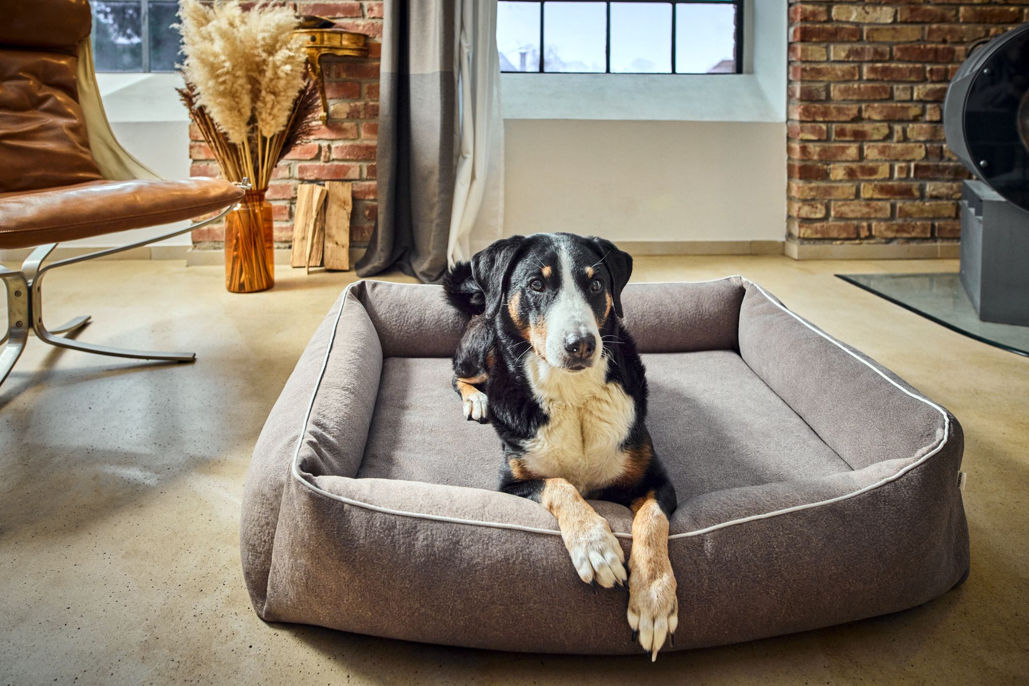 Hund auf grauem Hundebett in modernem Wohnzimmer mit Backsteinwand und Ledersessel.