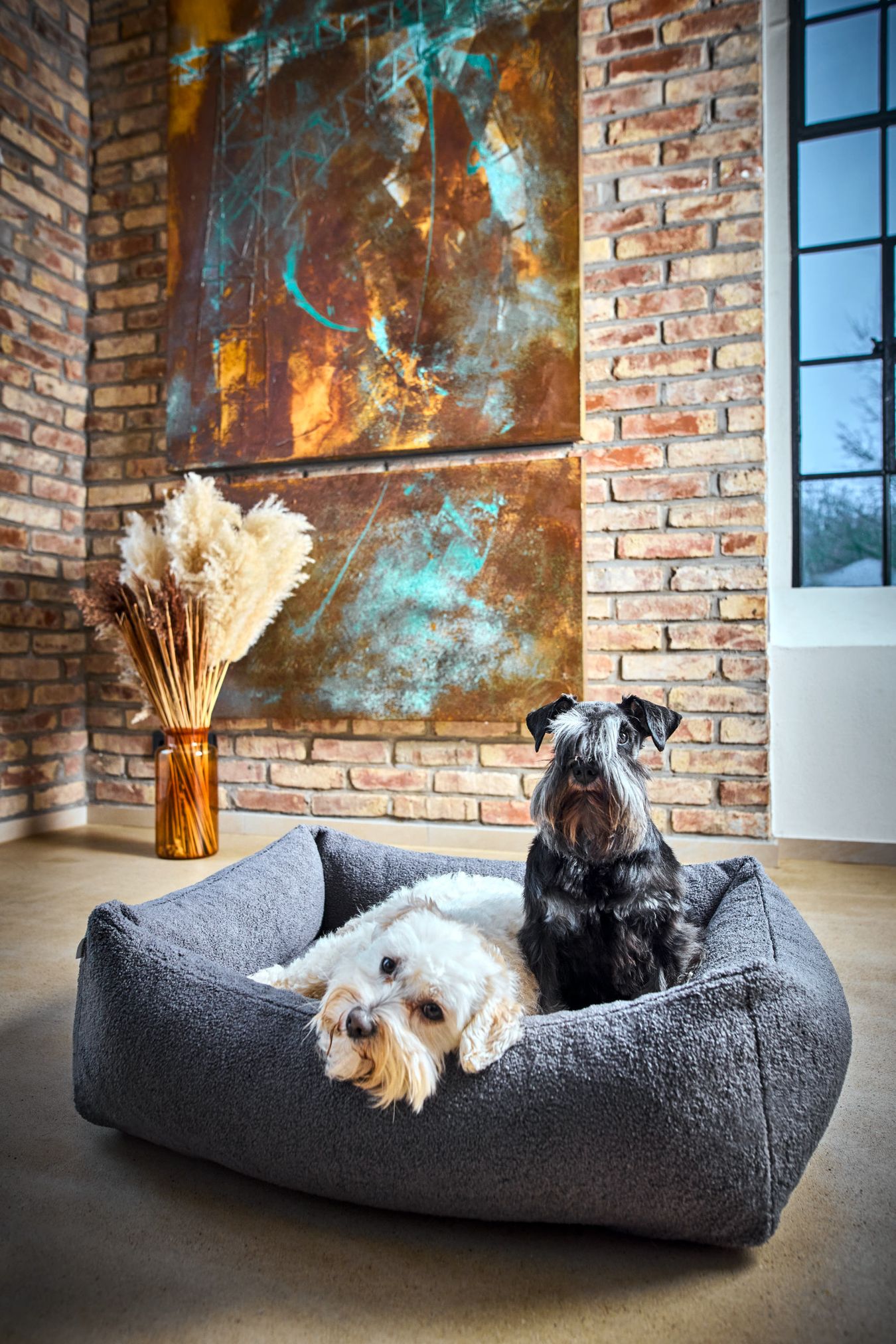 Zwei Hunde in grauem Hundebett vor Ziegelwand mit Kunstwerk und Trockenblumen.
