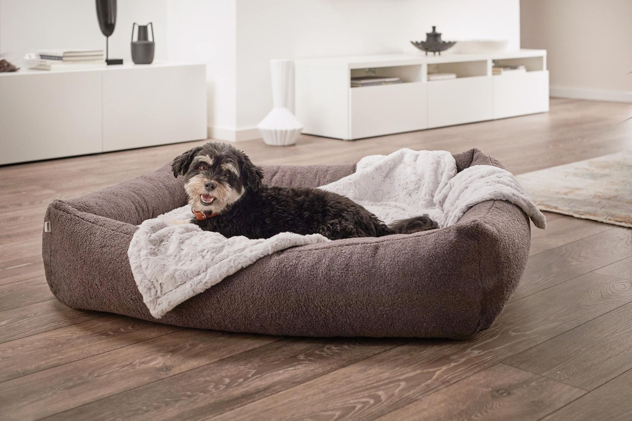 Schwarzer Hund auf grauem Hundebett mit Decke im modernen Wohnzimmer.