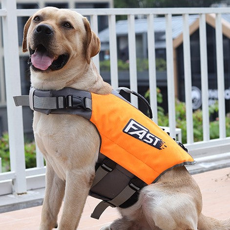 Labrador mit orangefarbener Schwimmweste, sitzt auf Terrasse. Hund, Sicherheitsweste, Haustierausrüstung, Outdoor, Wassersport.