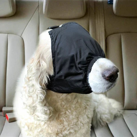 Hund mit schwarzem Maulkorb im Auto, beige Ledersitze. Hundemaulkorb, Sicherheit, Haustiertransport, Hundezubehör, Tierbedarf.