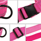 Hochwertiges, verstellbares, pinkes Hundehalsband mit robustem Klickverschluss und D-Ring. Ideal für kleine bis mittelgroße Hunde.