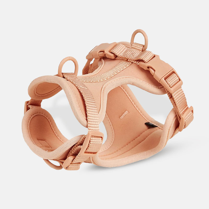 Hochwertiges, verstellbares Hundegeschirr in Beige, ideal für kleine bis mittelgroße Hunde. Komfortabel, langlebig und sicher für Spaziergänge.