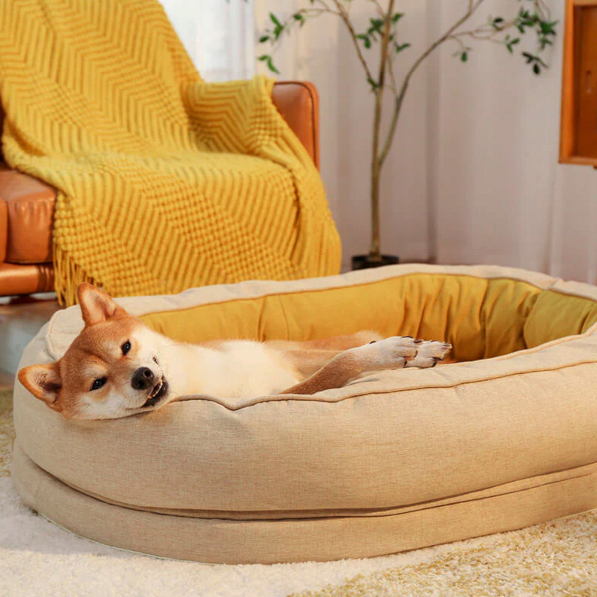 Hund in beigem Donut-Hundebett, gemütlich, stilvoll, Premium-Qualität, Wohnzimmer.