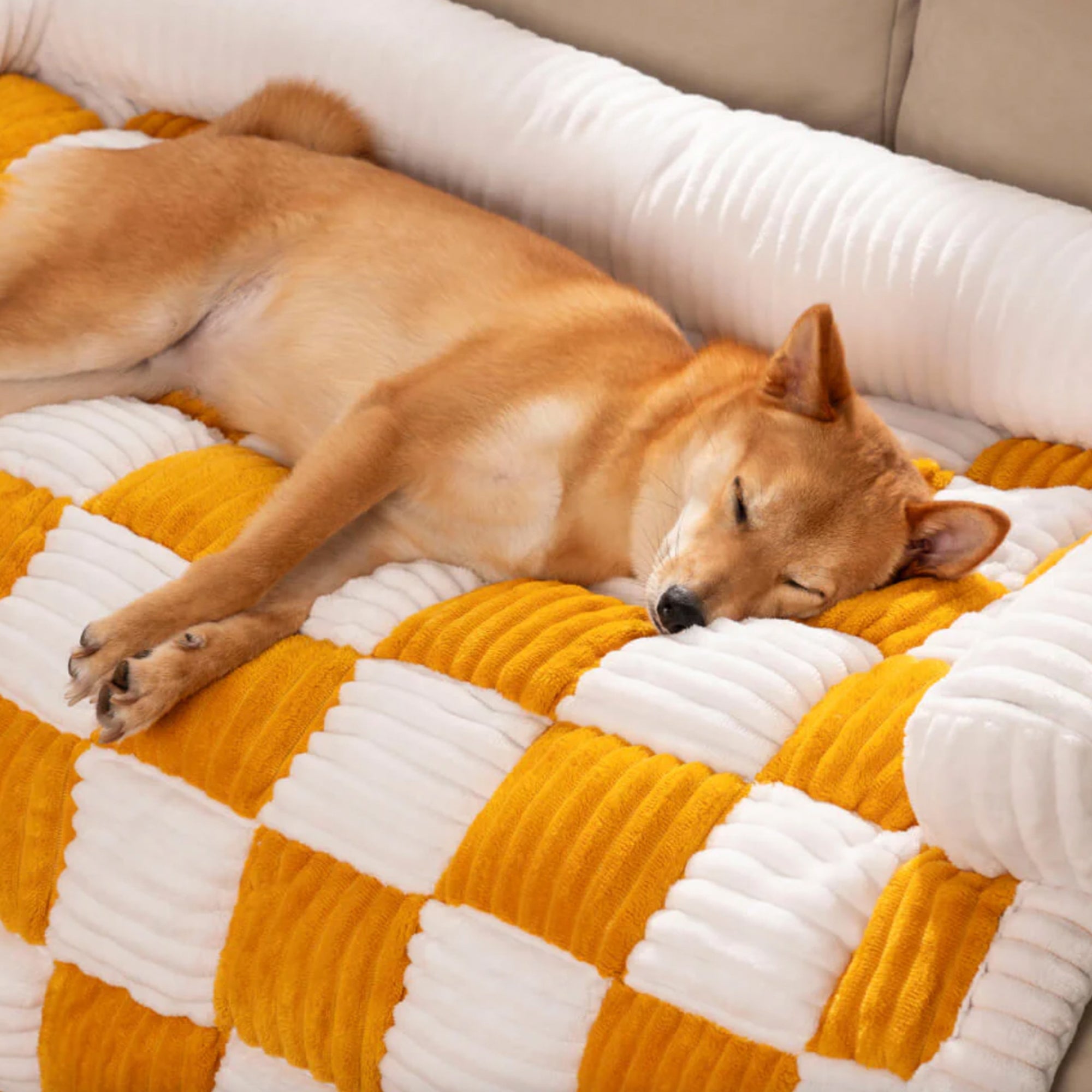 Hund schläft auf creme-gelbem kariertem Hundebett, Möbelbezug, gemütlich, weich.