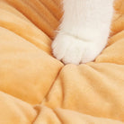 Katzenpfote auf beigem, waschbarem Donut-Haustierbett aus Plüschmaterial.