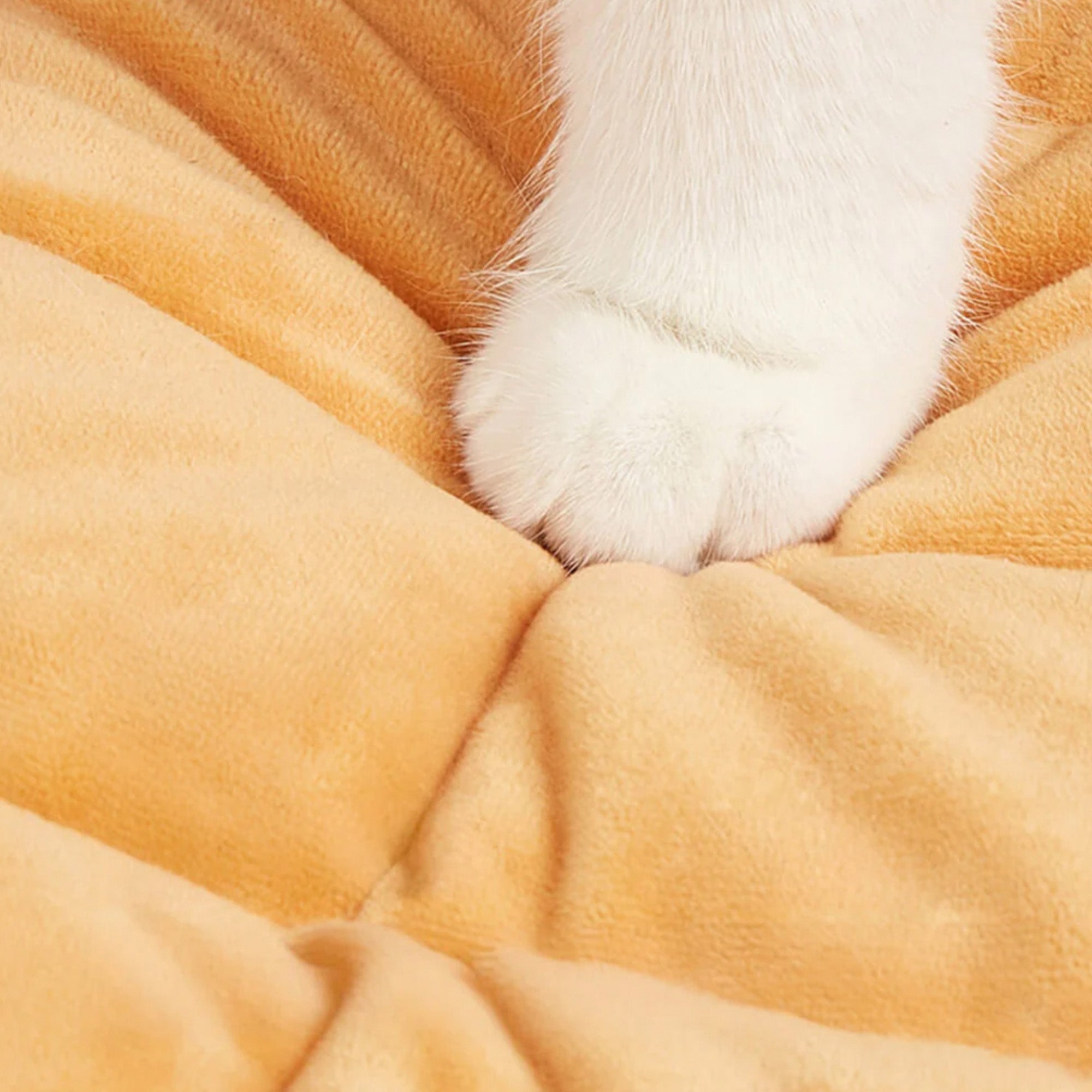 Katzenpfote auf beigem, waschbarem Donut-Haustierbett aus Plüschmaterial.