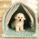 Hundebett mit Vorhang, weiches, grünes Haustierhaus, gemütlich, für kleine Hunde, Innenbereich.