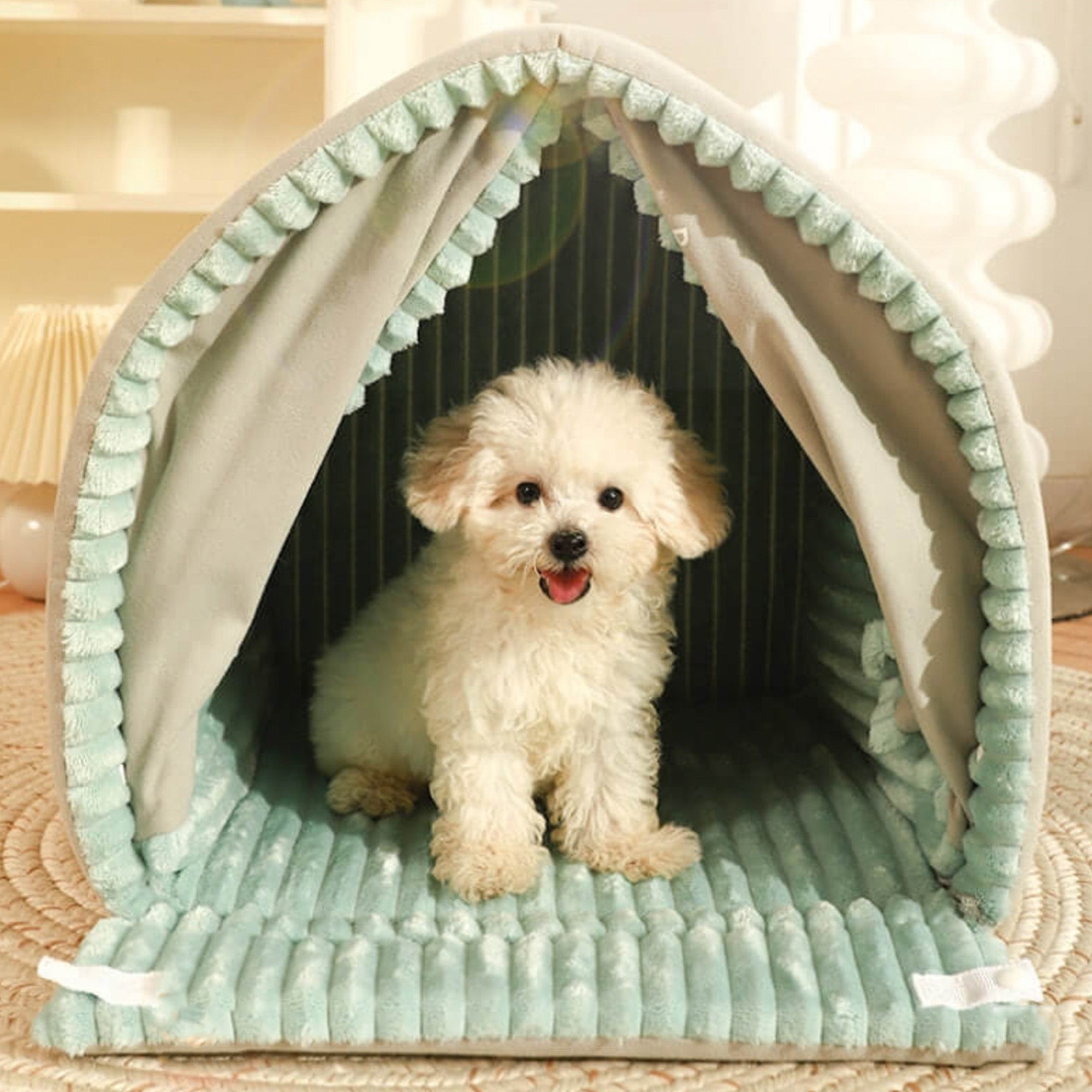 Hundebett mit Vorhang, weiches, grünes Haustierhaus, gemütlich, für kleine Hunde, Innenbereich.