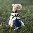Hund in stylischer, zweifarbiger Hundejacke mit Geschirr, sitzt auf grünem Gras. Perfekt für Outdoor-Aktivitäten und kaltes Wetter.