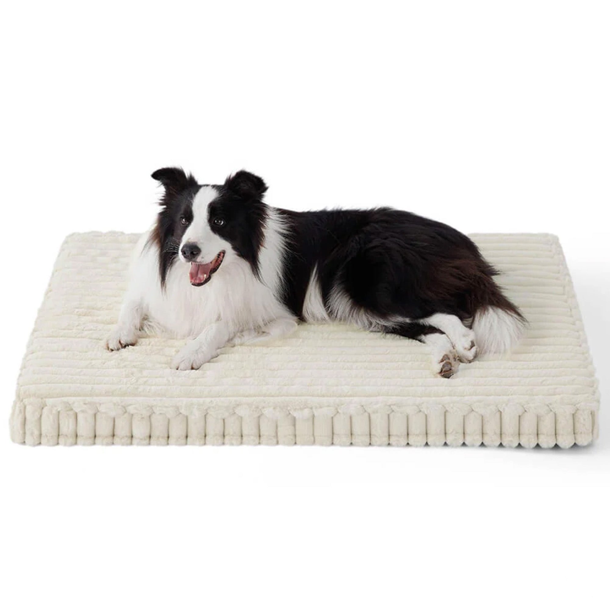 Hund auf orthopädischem Hundebett aus Kunstfell, waschbar, weiß, bequem, für Haustiere.