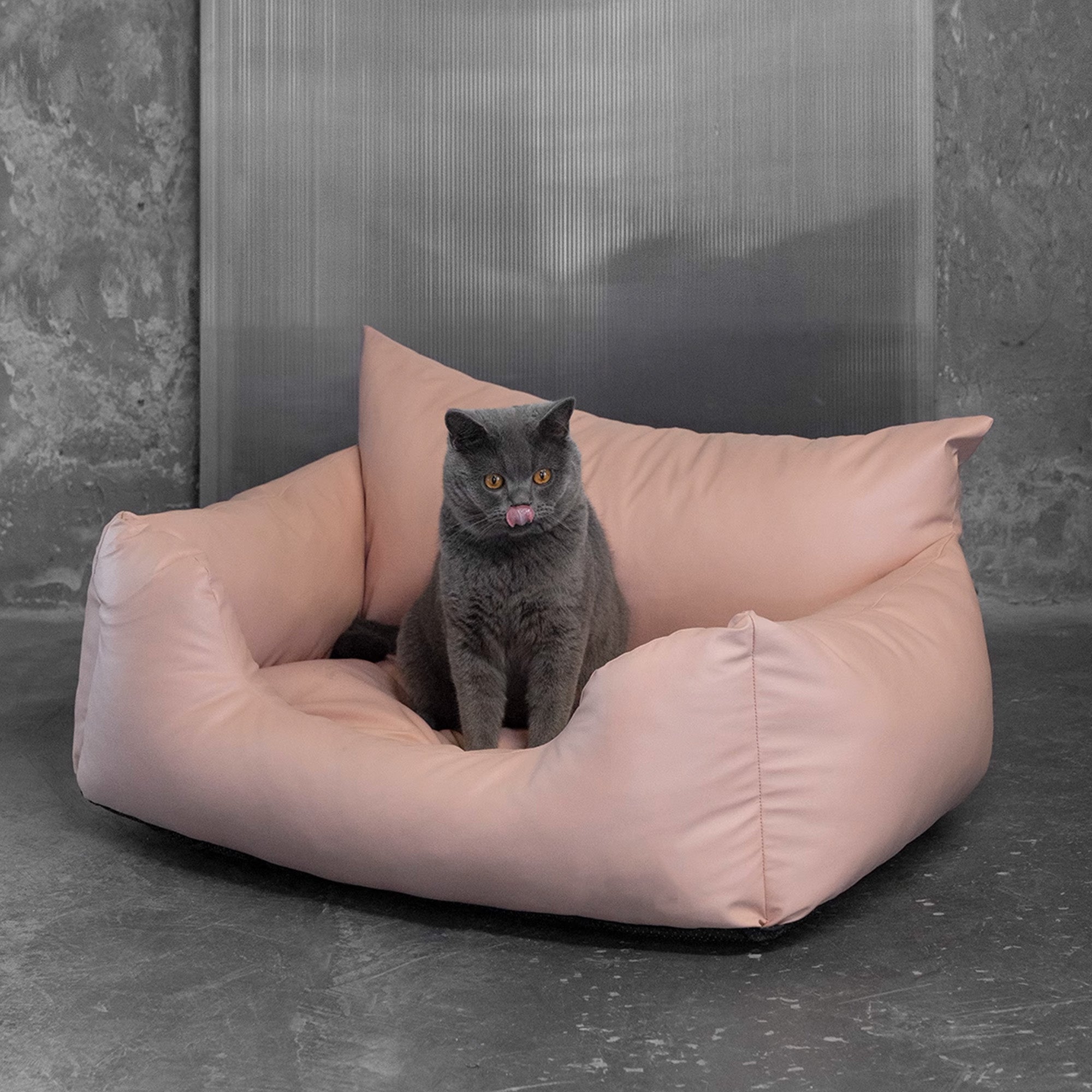 Graue Katze auf rosa, wasserdichtem, orthopädischem Haustier-Sofa-Bett aus Kunstleder.