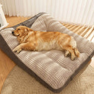 Goldener Retriever auf orthopädischem Hundebett, beige, Premium-Komfort, im Wohnzimmer.