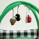 Interaktives Katzenbett mit Spielzeug, grün, Plüsch, für Katzenunterhaltung und Komfort.