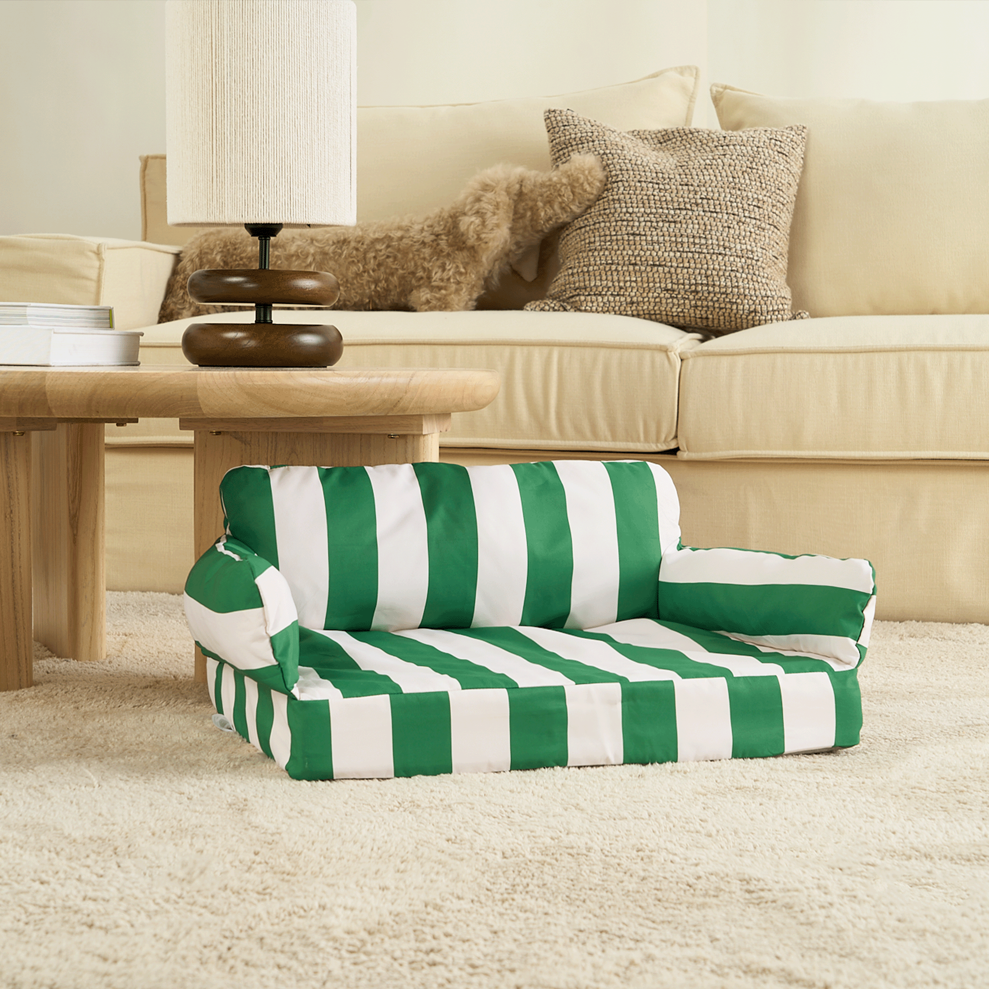 Grün-weiß gestreiftes Haustiersofa auf Teppich, modernes Design, Wohnzimmermöbel.