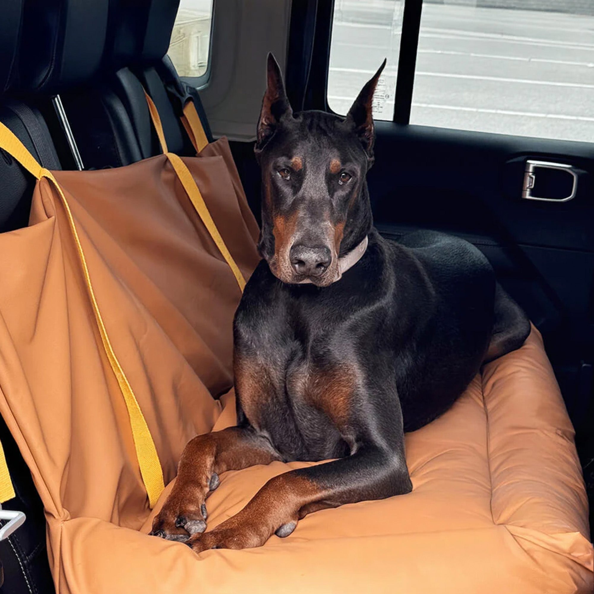 Schwarzer Dobermann auf wasserdichtem, braunem Autositzbezug für Hunde im Auto.