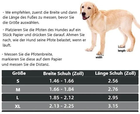 Gelbes Labrador-Welpe neben Größentabelle für Hundeschuhe. Enthält Anweisungen zur Messung der Pfotenbreite und -länge. Ideal für Haustierbedarf.
