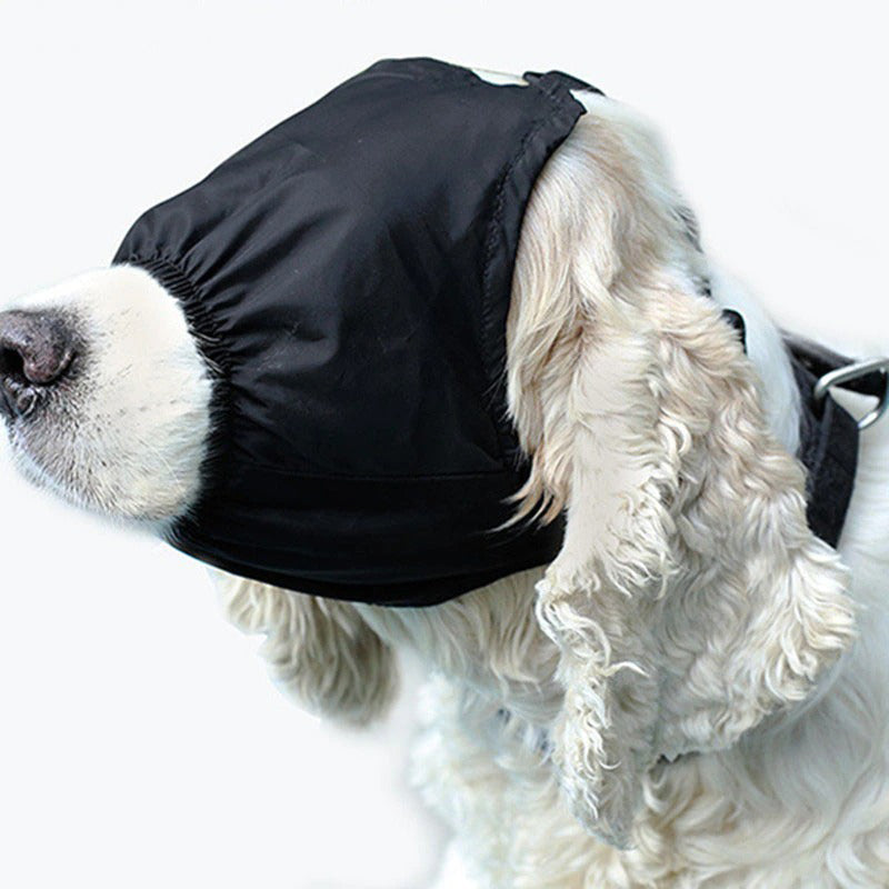 Hund mit schwarzer Hundemaske, die Augen und Ohren bedeckt. Ideal für Tierpflege und Schutz. Komfortable Passform, hochwertiges Material.