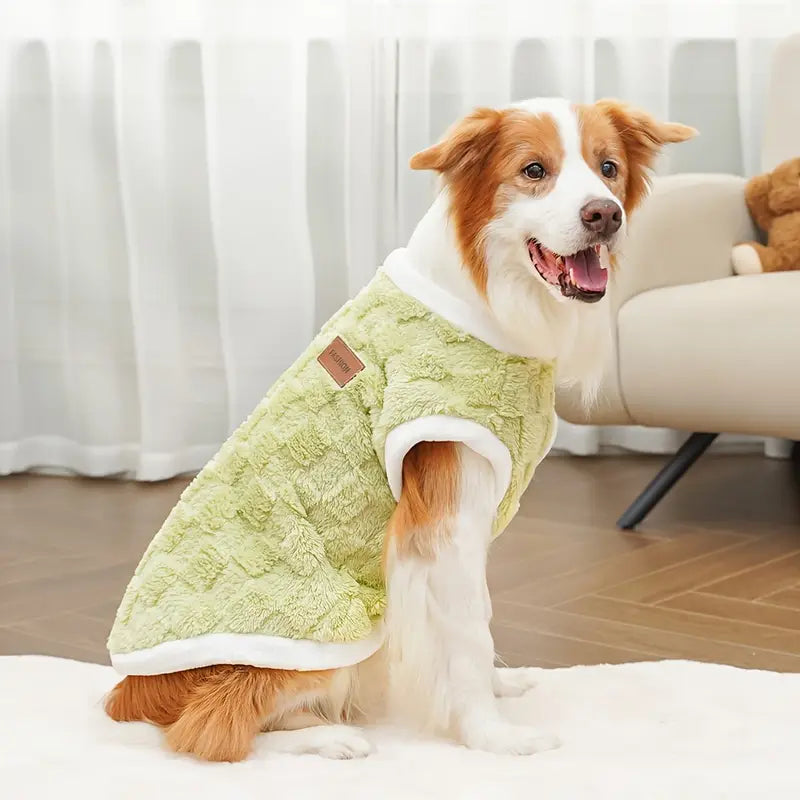 Hund in grünem, flauschigem Hundemantel sitzt auf Teppich. Perfekt für kalte Tage. Stilvolle Hundebekleidung, warm und bequem.