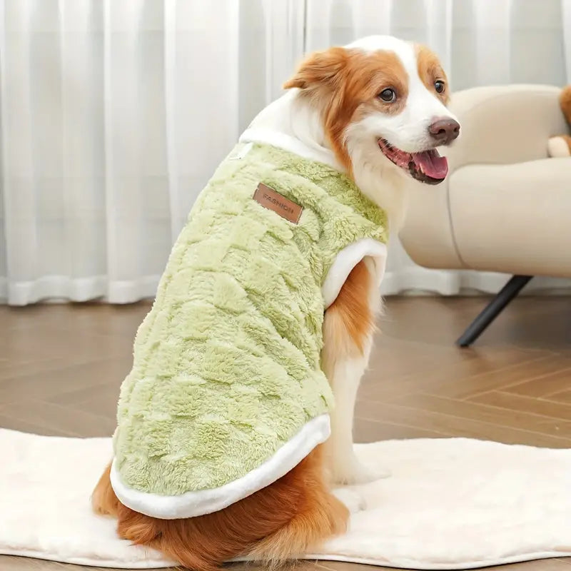 Hund in grünem, flauschigem Hundemantel sitzt auf Teppich. Perfekt für kalte Tage, bietet Komfort und Stil. Ideal für Haustiermode und Winterkleidung.