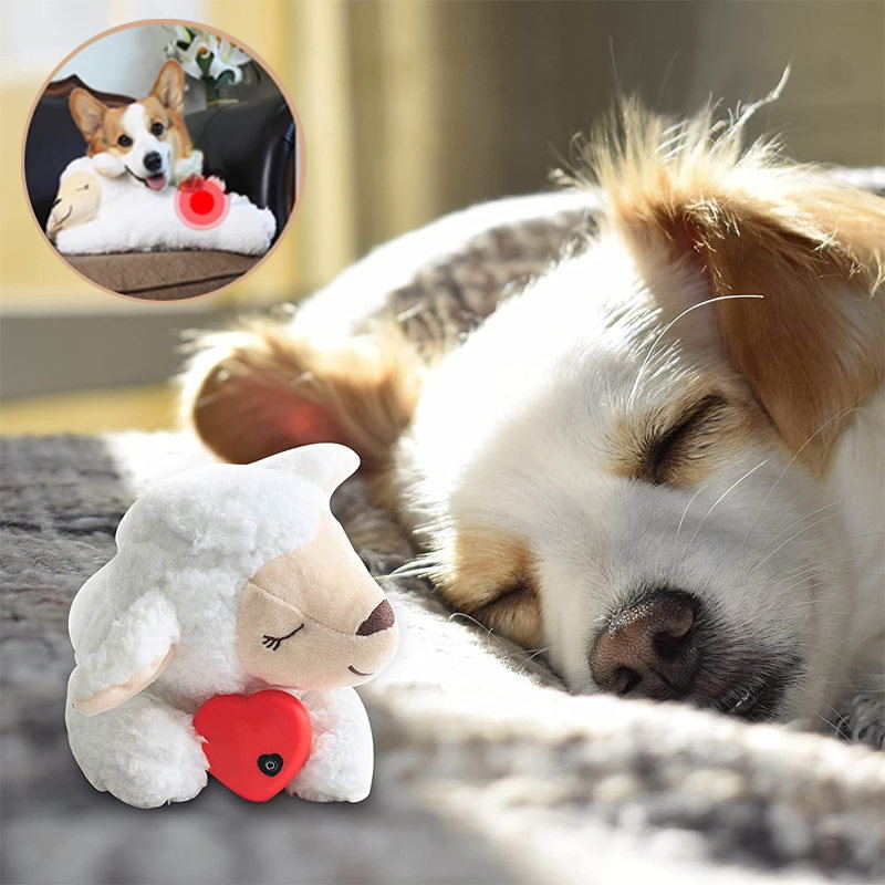 Hund schläft neben Plüschspielzeug mit Herz, ideal für Haustiere. Beruhigendes Hundespielzeug, perfektes Geschenk für Welpen und kleine Hunde.