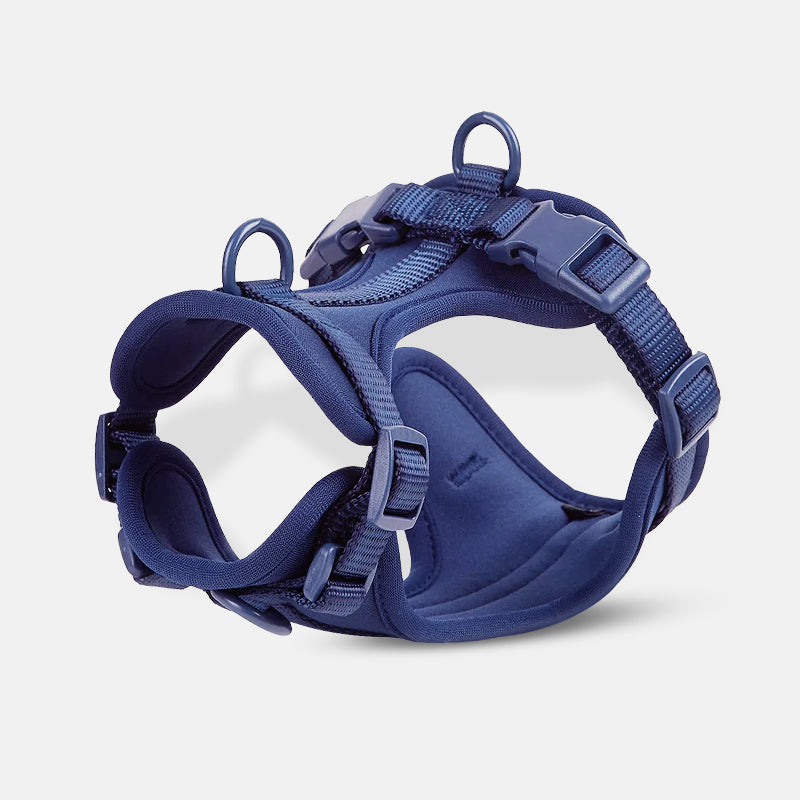 Blaues Hundegeschirr, verstellbar und gepolstert, ideal für Komfort und Sicherheit beim Gassigehen. Perfekt für kleine bis mittelgroße Hunde.