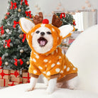 Niedlicher Hund im Rentierkostüm vor Weihnachtsbaum, perfekt für festliche Haustierfotos. Weihnachtsdeko, Geschenke, Haustiermode.