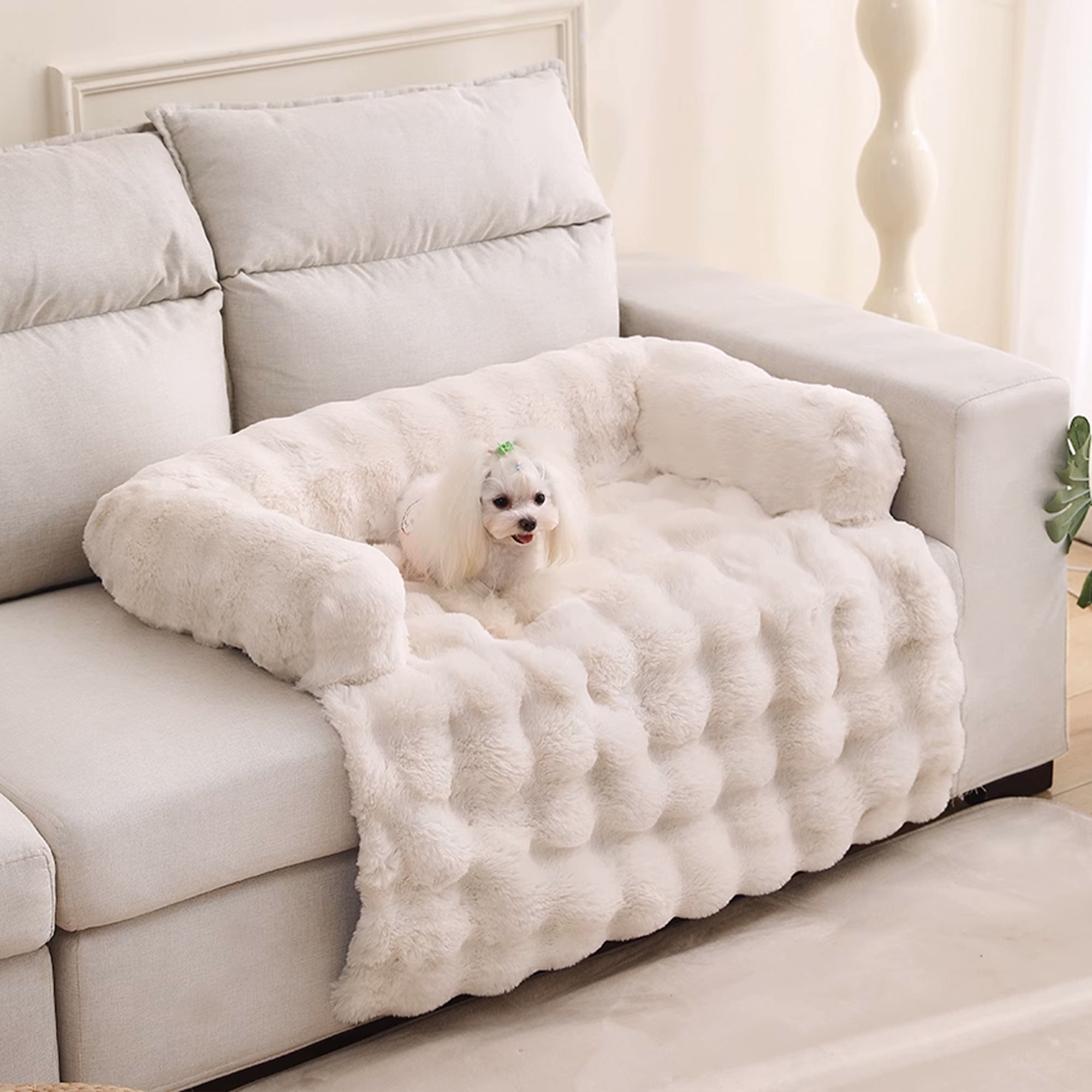 Weißes flauschiges Haustierbett auf Sofa, gemütlich, Hundematte, Wohnzimmer, Heimdekoration.