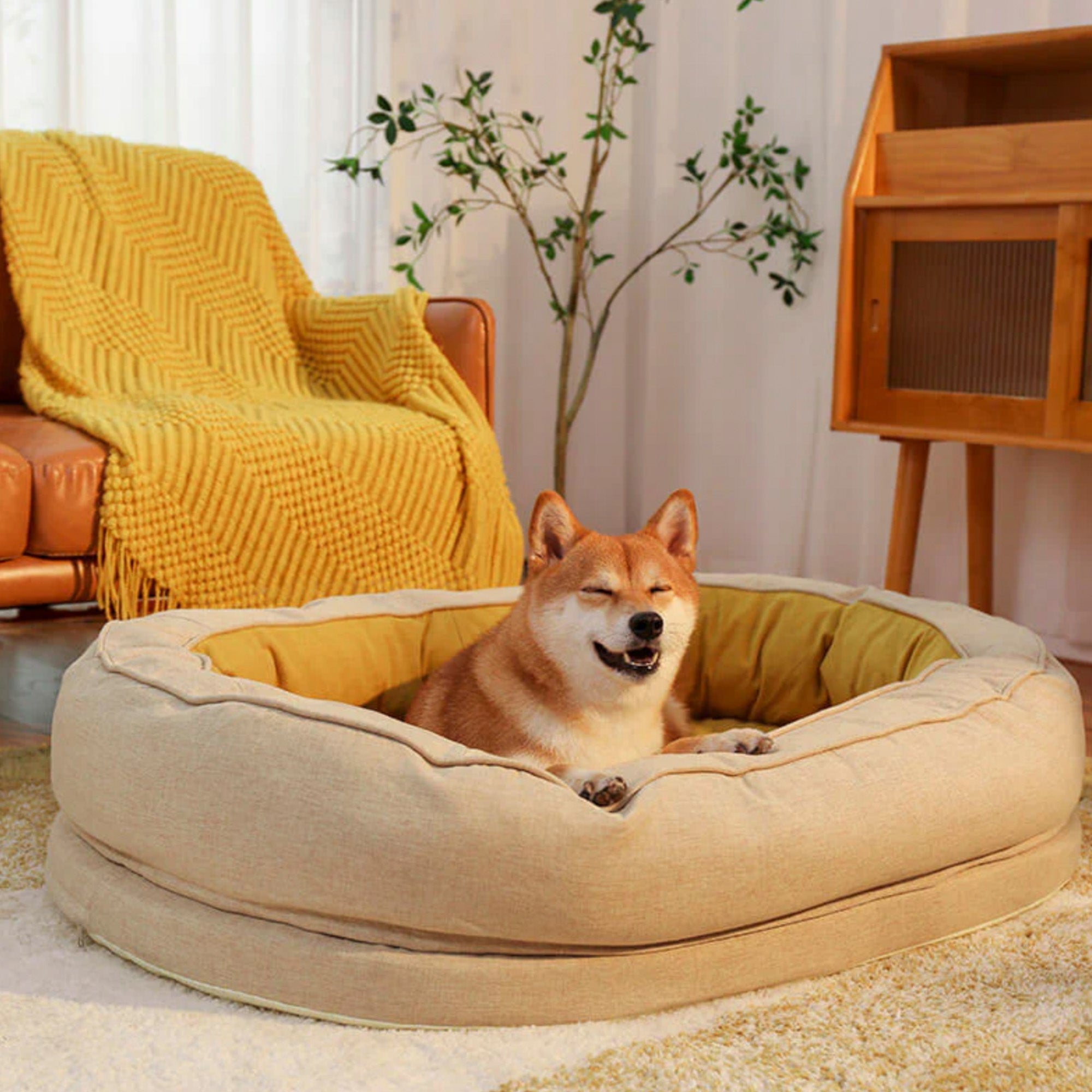 Hund in beigem, gemütlichem Donut-Hundebett vor gelbem Sofa und Pflanze im Wohnzimmer.