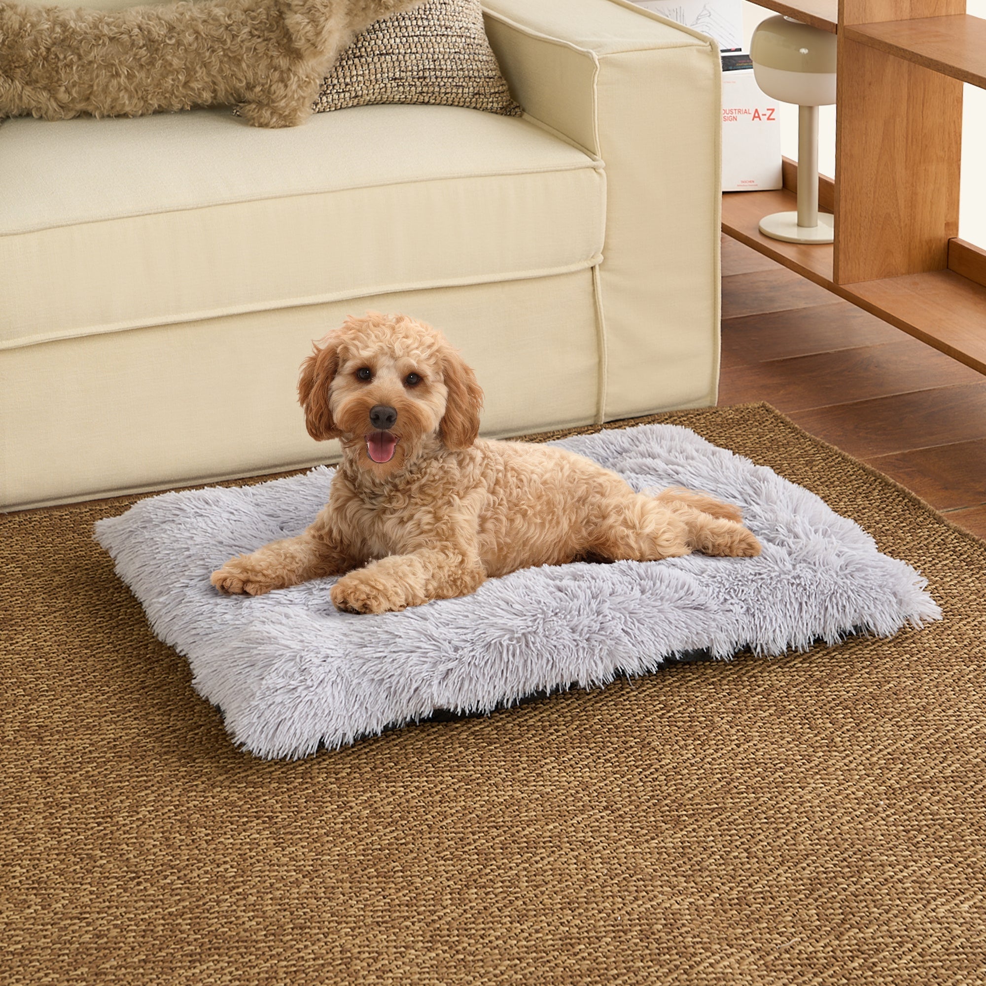 Beigefarbener Hund auf grauer, flauschiger Haustiermatte im Wohnzimmer, gemütlich, rutschfest.