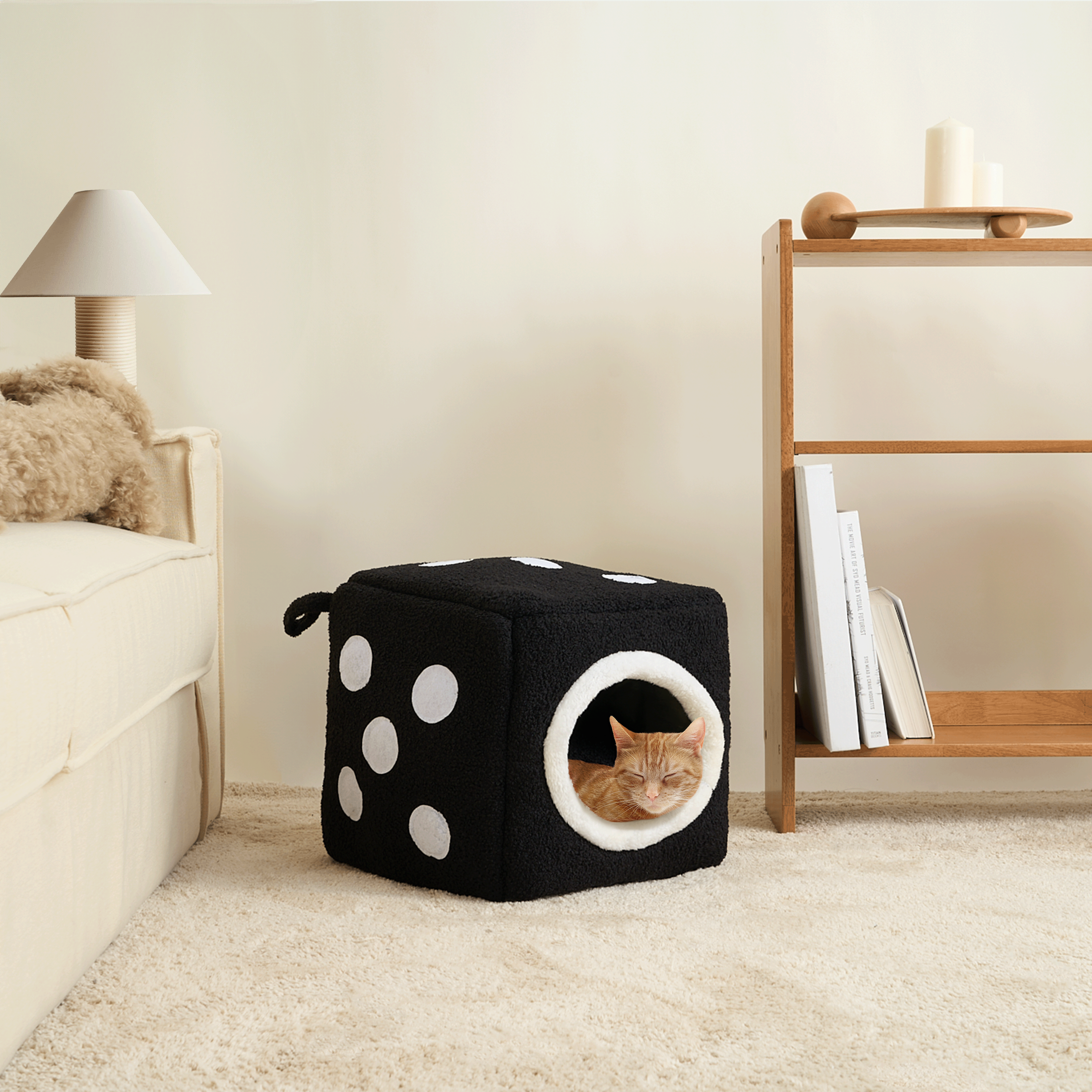 Schwarzes Würfel-Katzenbett mit weißen Punkten, gemütlich, modernes Design, auf Teppichboden.