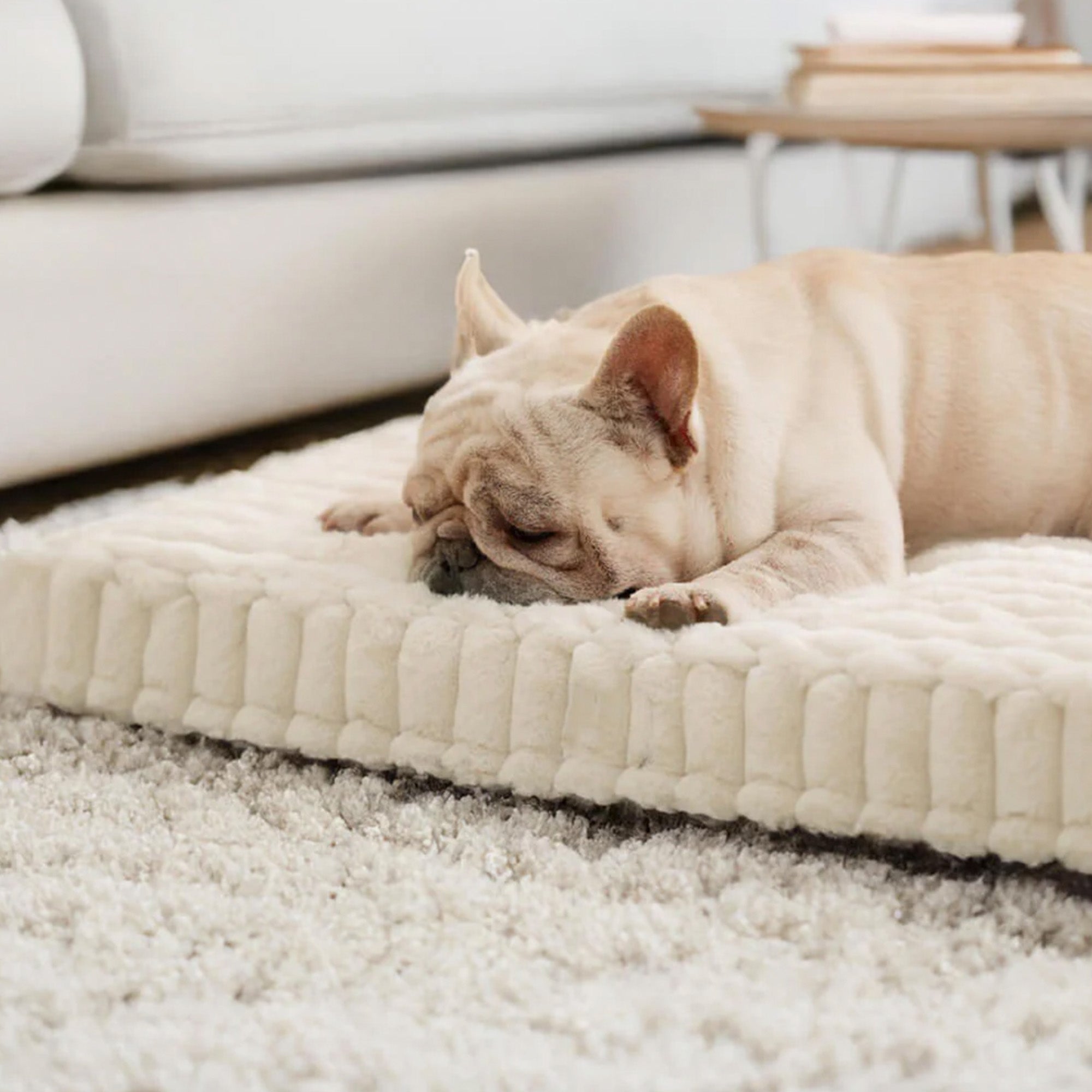 Französische Bulldogge schläft auf orthopädischem Hundebett aus Kunstfell, beige, waschbar.