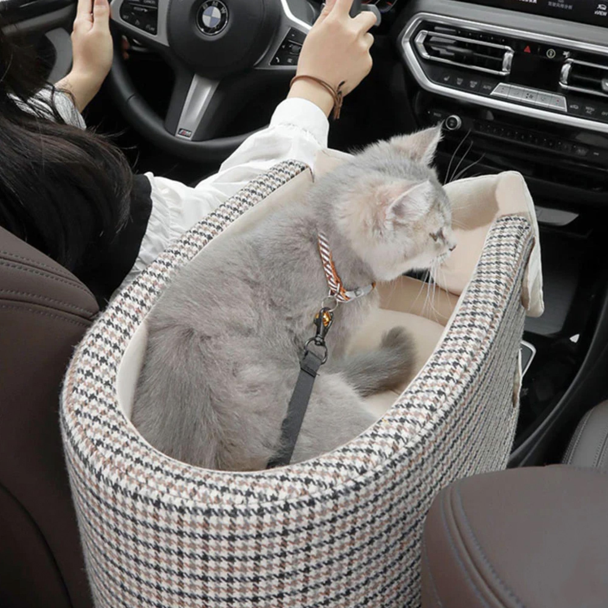 Graues Kätzchen im Hahnentritt-Autositz für Haustiere, sicherer Transport, stilvolles Design.