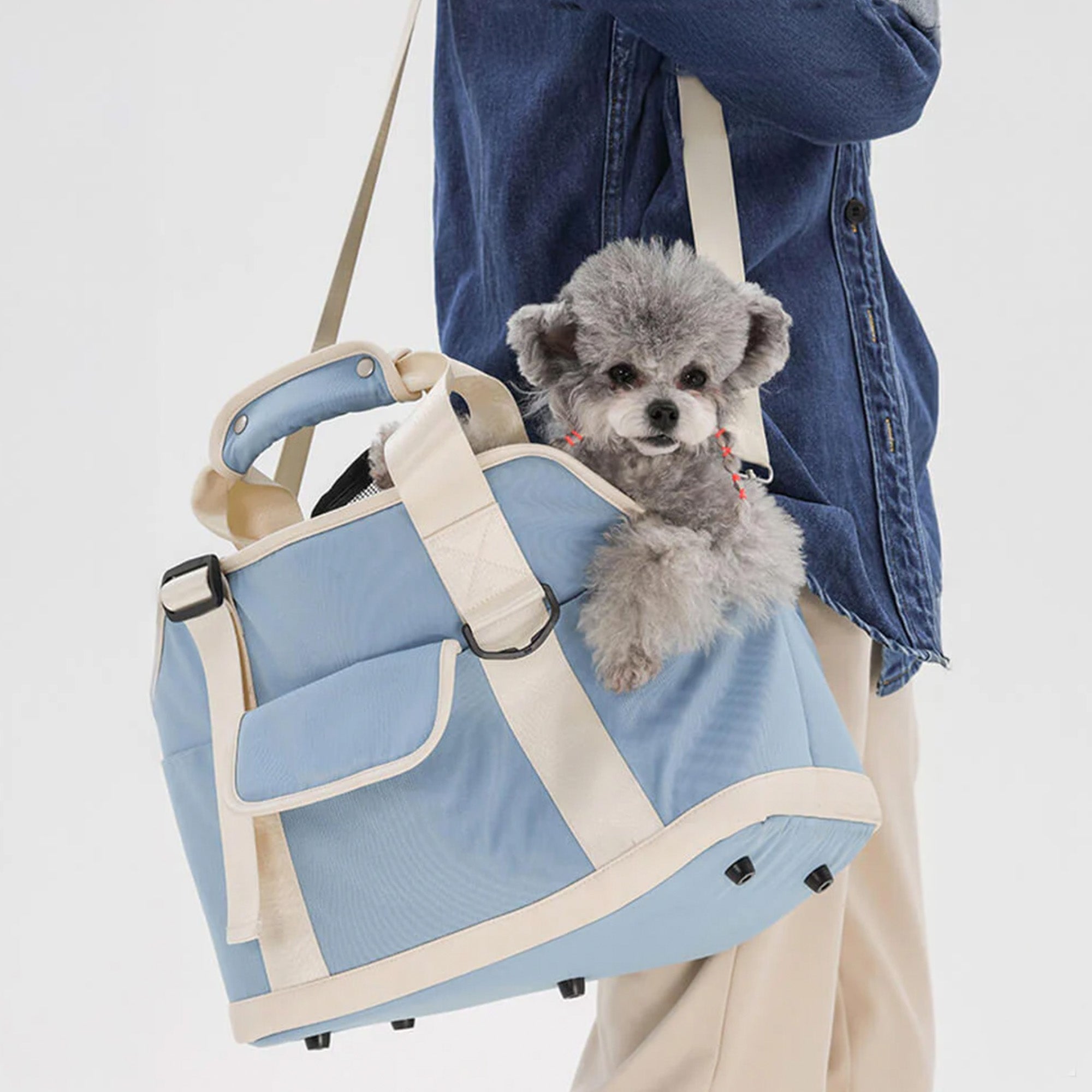 Leichte, wasserdichte Haustier-Reisetasche in Blau mit Kontrastfarben und Mehrzweckfunktion.