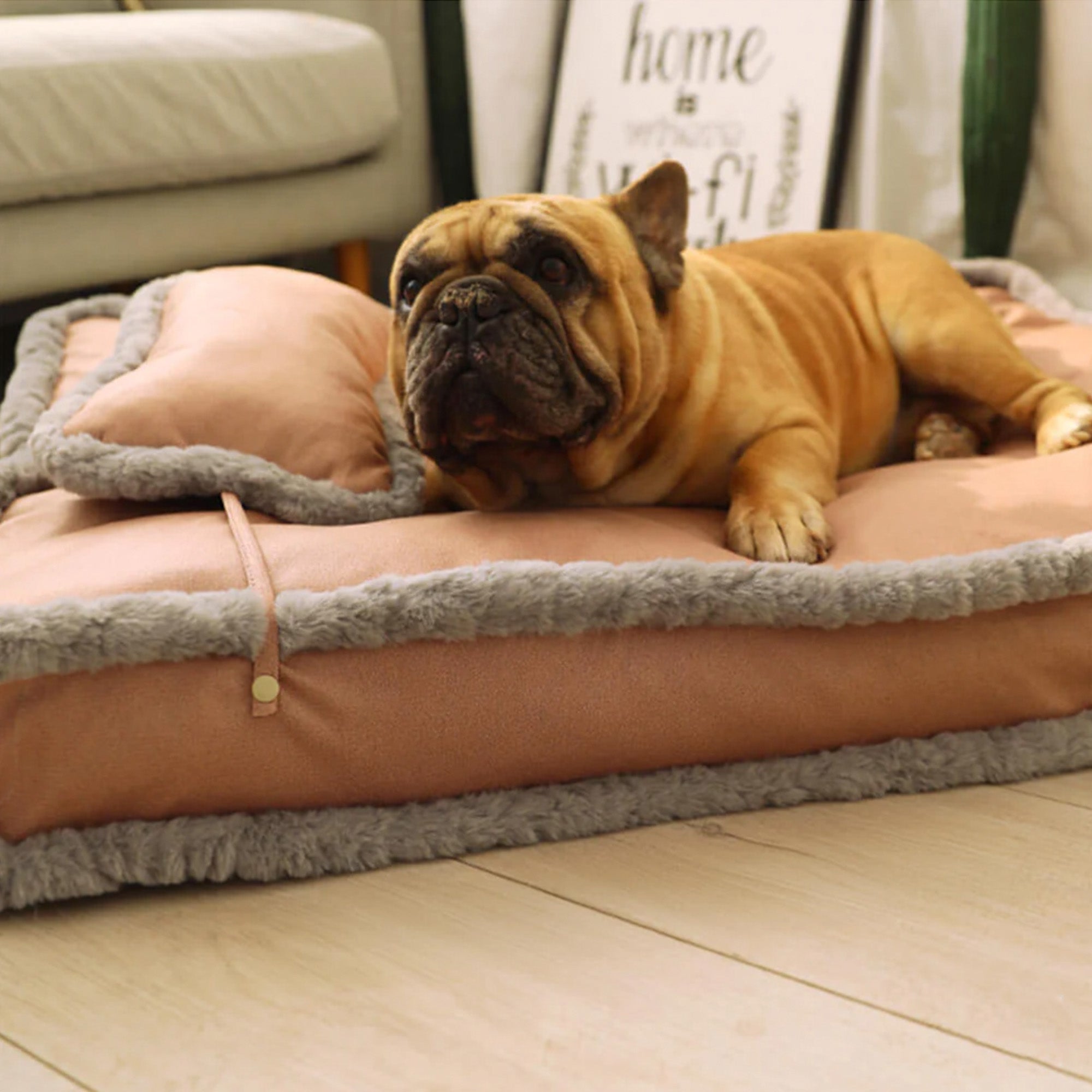 Französische Bulldogge auf luxuriösem Retro-Kunstleder-Hundebett mit Kissen, braun-grau.