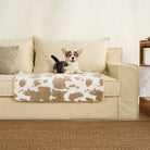 Hund auf beigem Sofa mit Kuhmuster-Haustiermatte, gemütlich, waschbar, Wohnzimmer-Dekor.