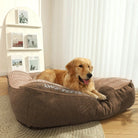 Goldener Retriever auf braunem orthopädischem Hundebett, bequemes Design, Wohnzimmer.
