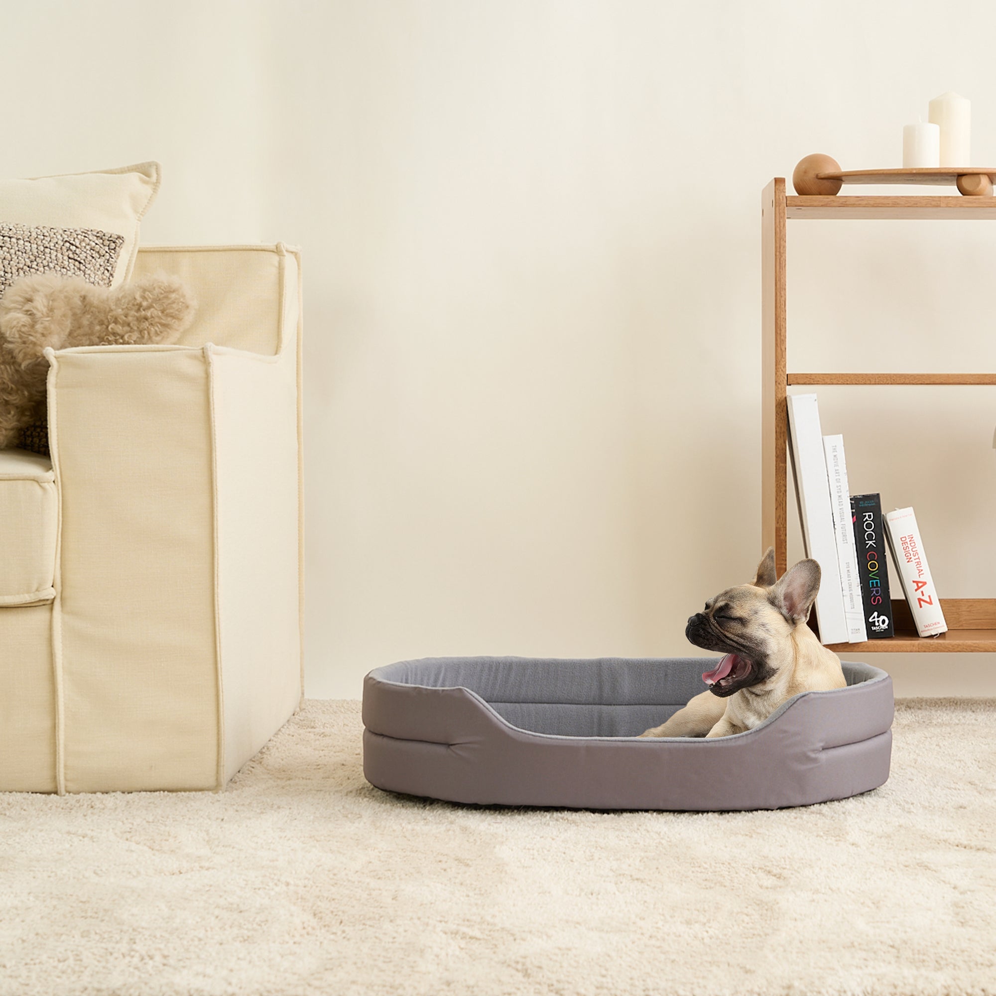 Graues Hundebett aus Stoff, gemütlich, auf Teppich neben Sofa und Regal, Hund gähnt.