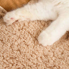 Weiße Katze auf beigem, flauschigem Cord-Sofa-Bett, gemütlich und warm, Haustiermöbel.